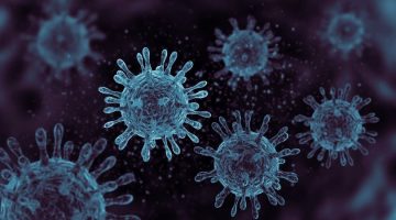 Korona virüsün ölümcüllük oranı açıklandı